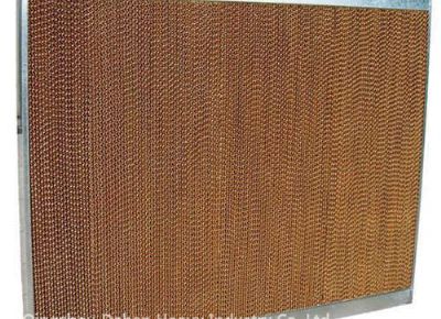 点击查看详细信息<br>标题：Wet Curtain 阅读次数：1089